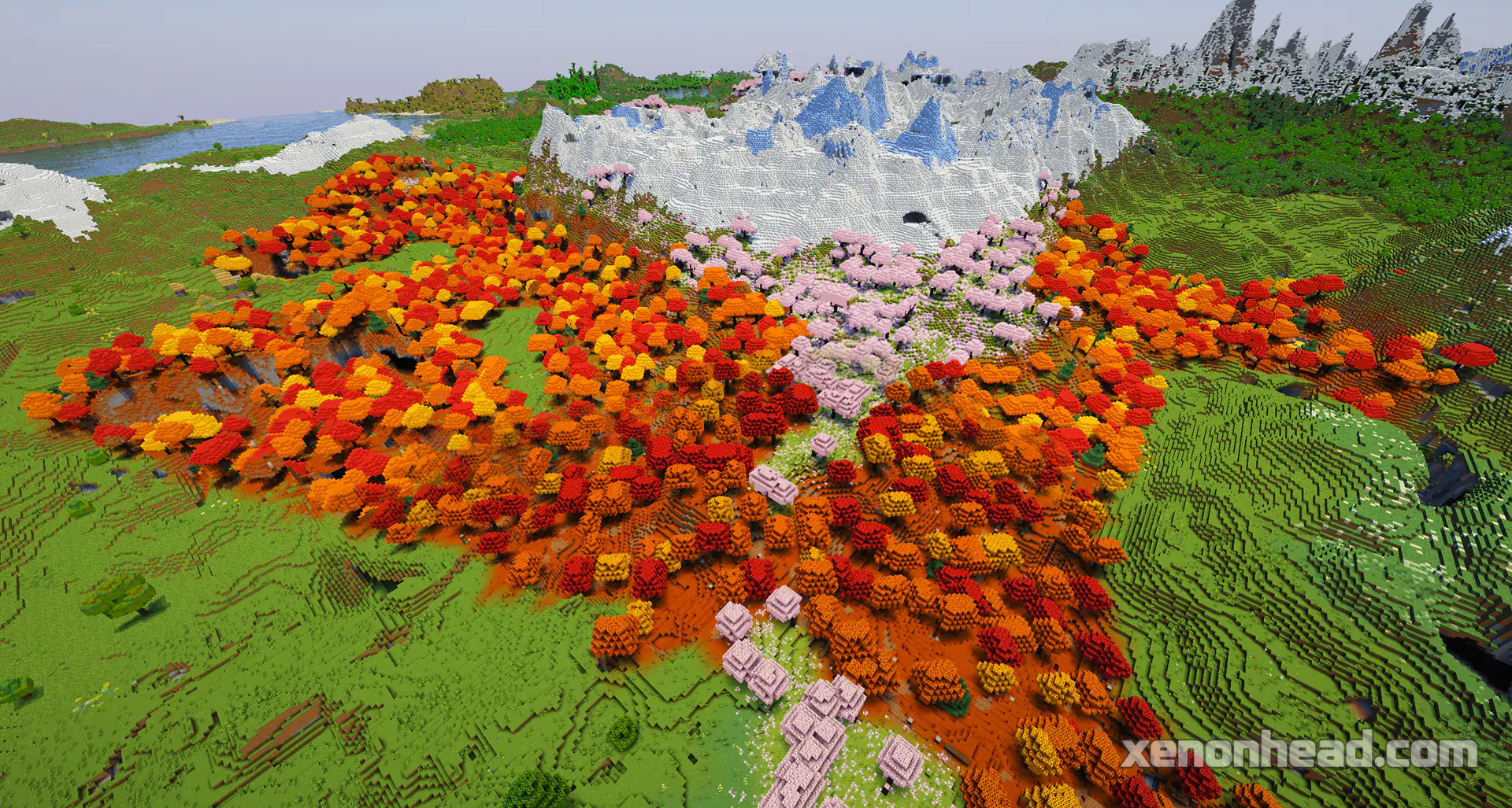 The Autumn Blossom Meadow