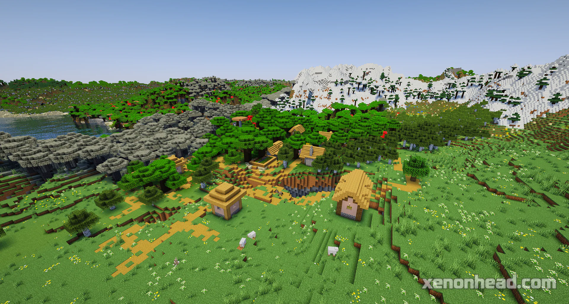 Dark forest village & hidden cave market