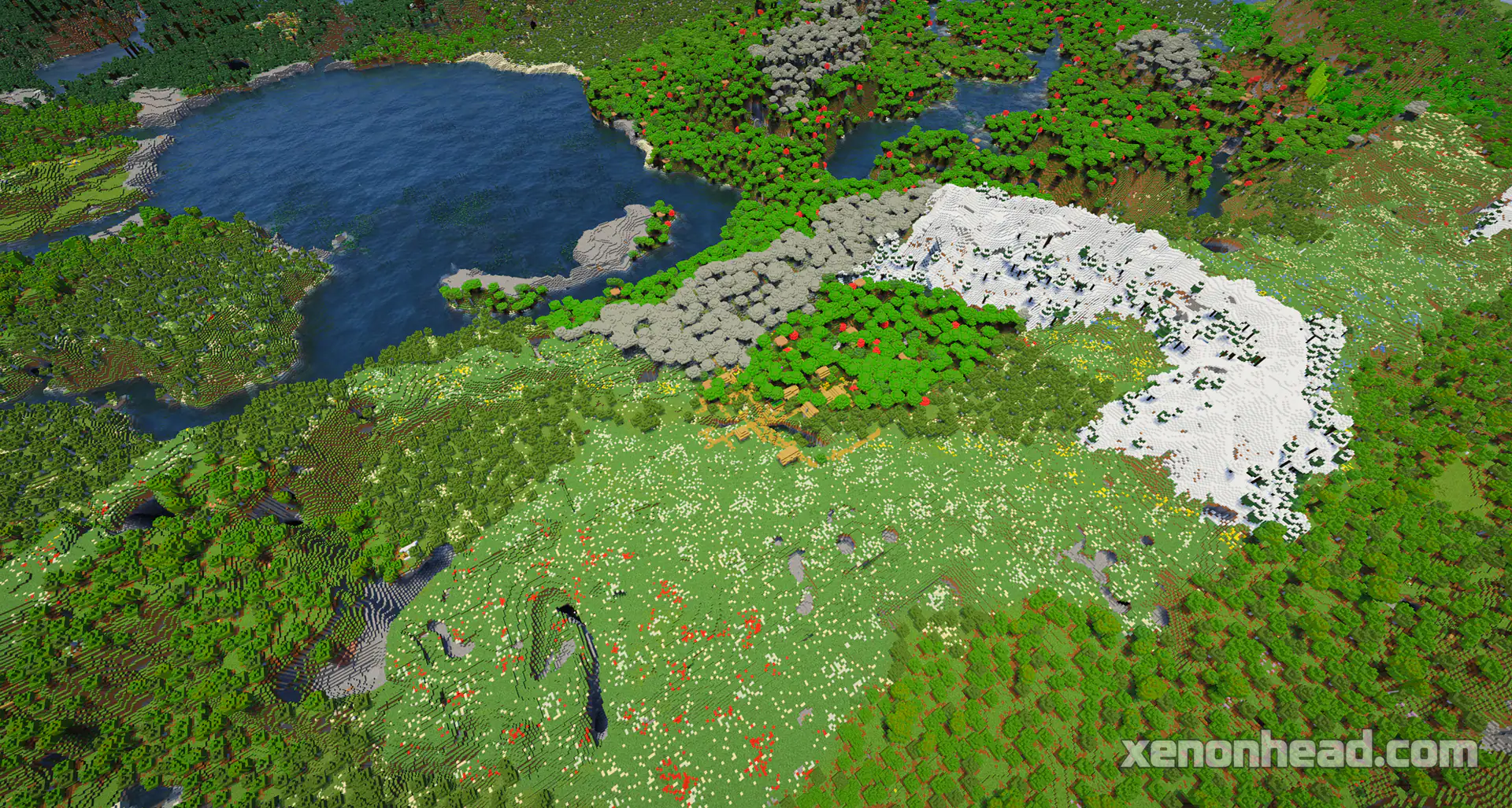 Dark forest village & hidden cave market