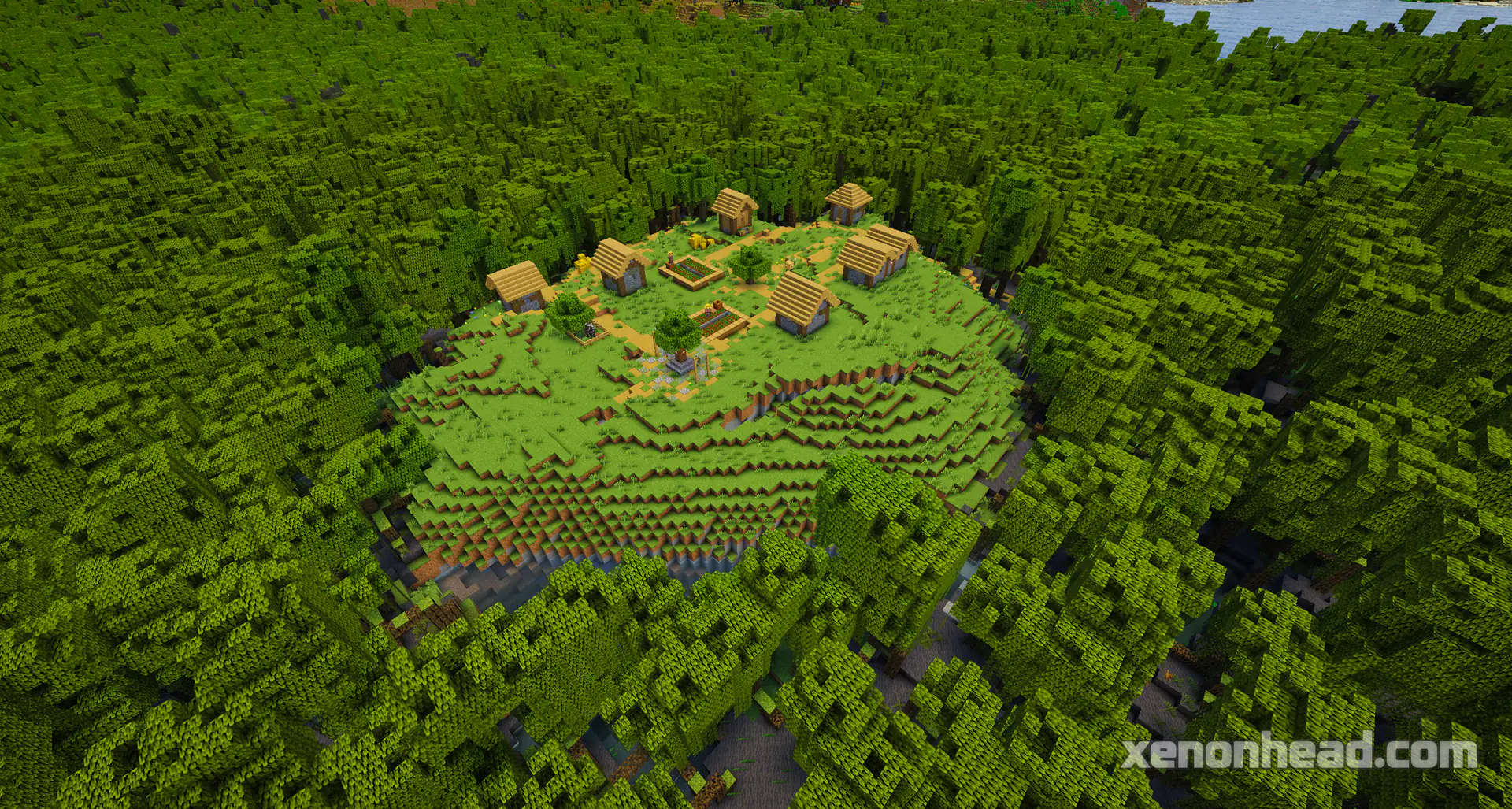 Secret mangrove swamp clearing village