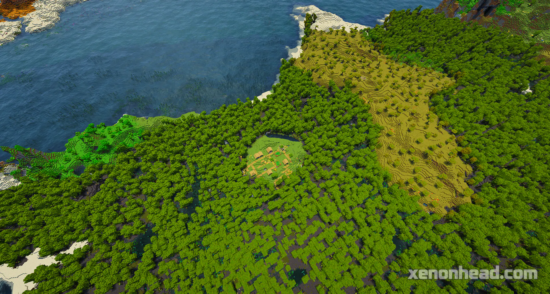 Secret mangrove swamp clearing village