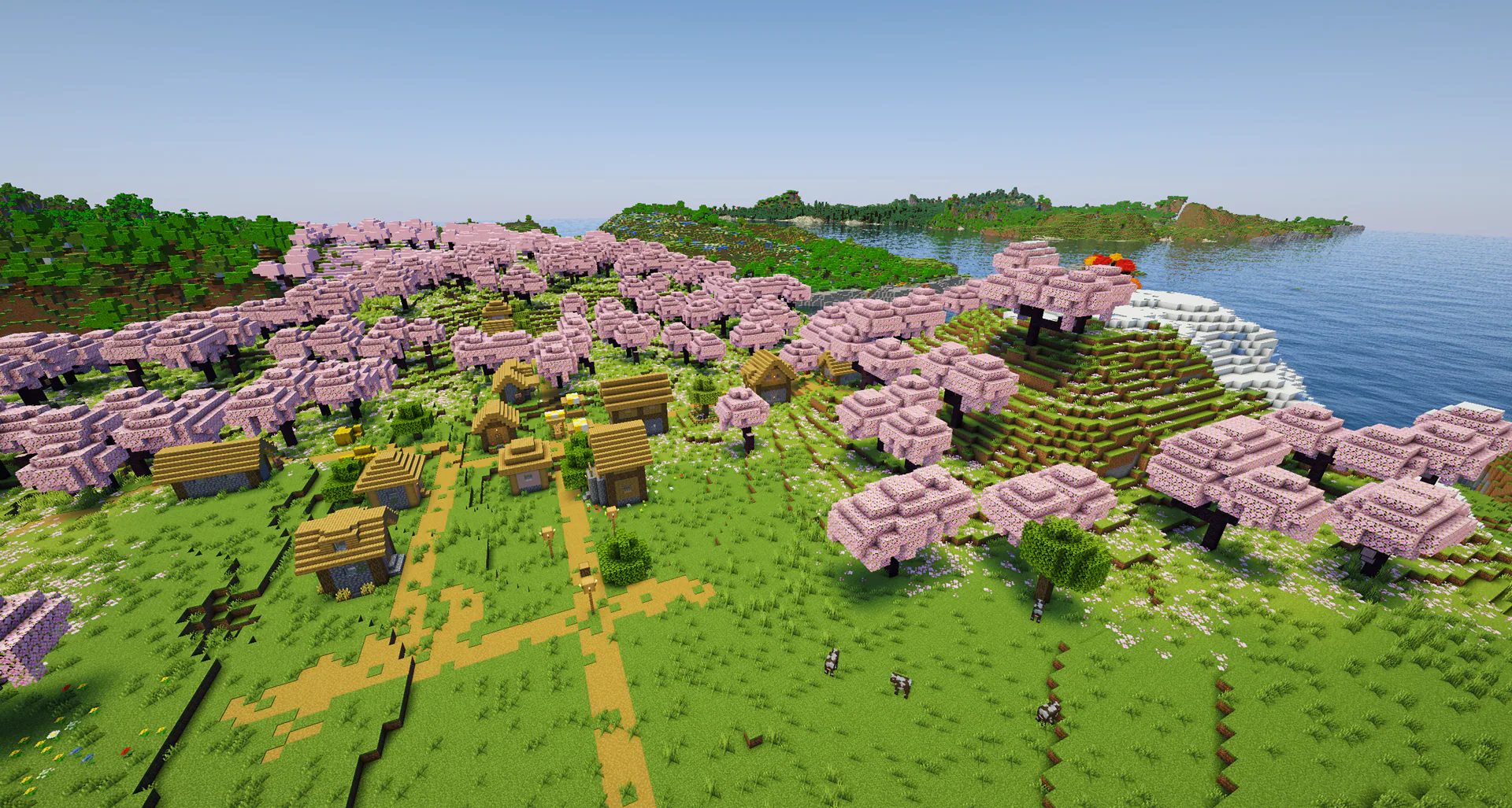 A plains village generated inside a huge pink cherry grove biome