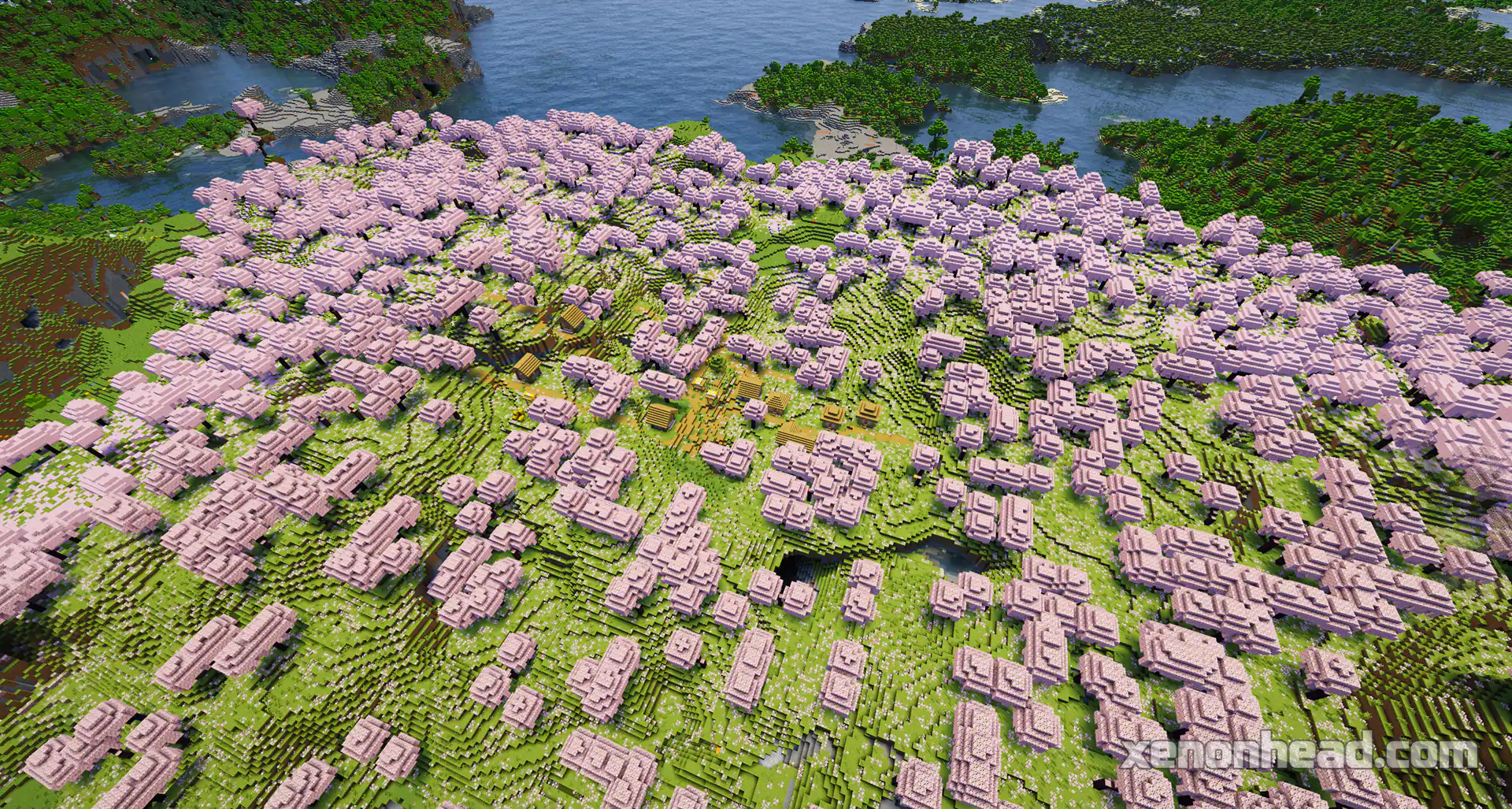 Paradise cherry grove village spawn
