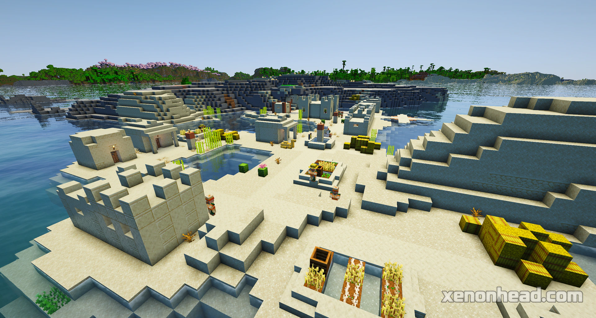 Desert village island & coral reef