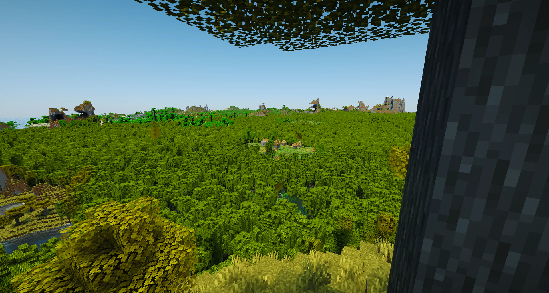 Village hidden in mangrove swamp